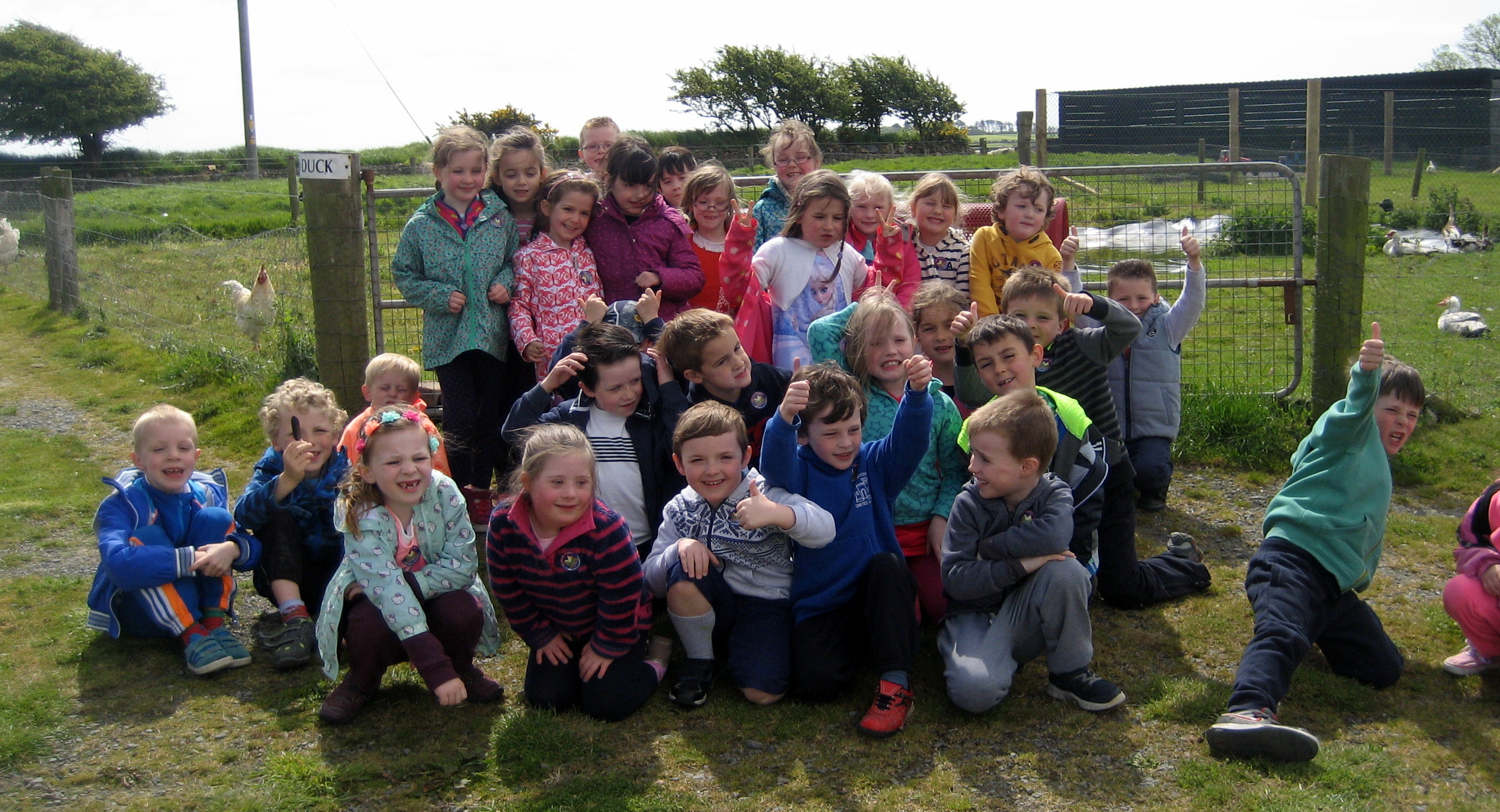 senior infants (33)