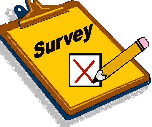 Web-survey